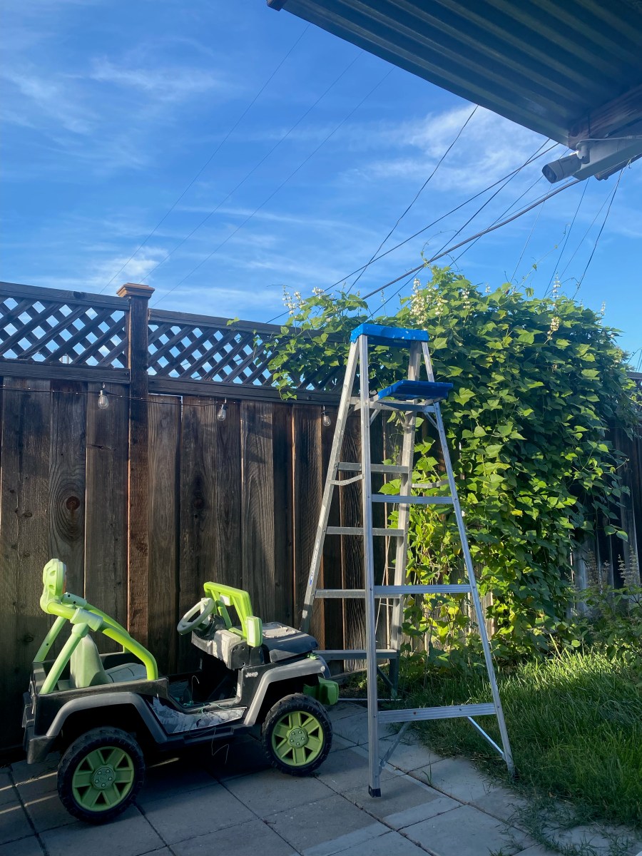 Do Your Best and Leave the&nbsp;Rest